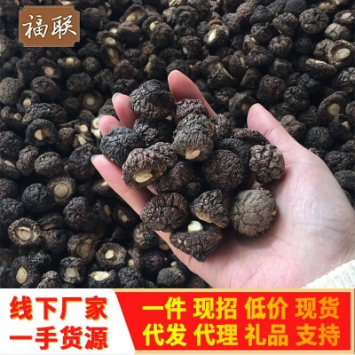 金钱菇干货1.5-2cm 珍珠菇香菇 小香菇冬菇散装厂家批发礼品年货