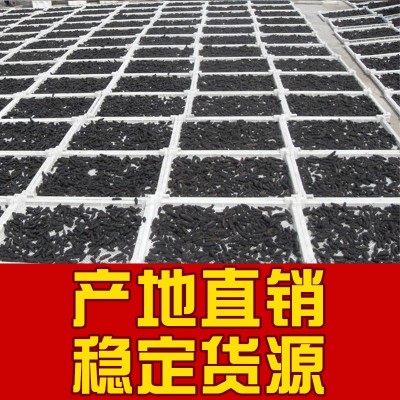 大连深海底播纯淡干海参干货批发50g 大型海参工厂稳定一手货源