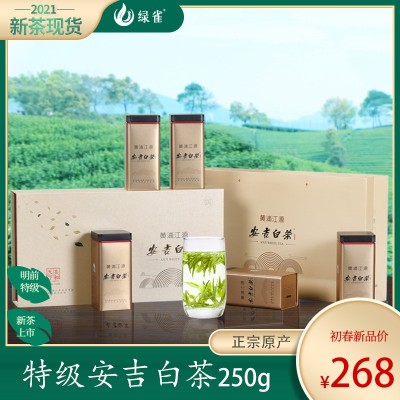 安吉白茶茶叶2022新茶250g正宗明前特级绿茶官方旗舰店官网礼盒装