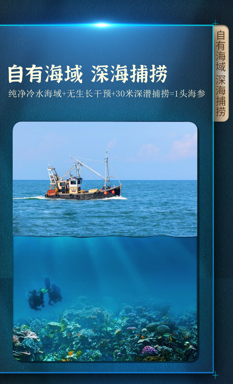 海参详情页_05