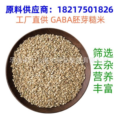 工厂批发 GABA糙米 技术专利 含γ氨基丁酸 膳食纤维代餐 500g