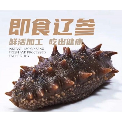 明尊8A级大连即食海参 大连鲜食刺参 工厂直营批发即食海参500g