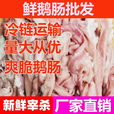 广东黑棕鹅九尺鹅肠冷鲜鹅肠火锅食材鹅肠新鲜宽边厚实鹅肠批发