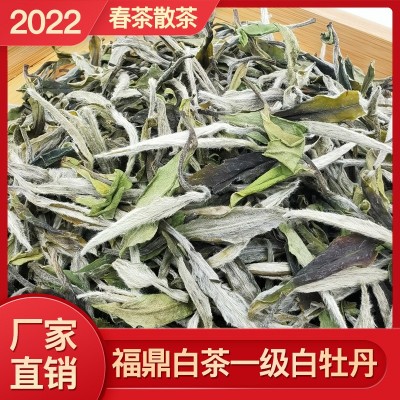 2022年福鼎新茶白茶花香一级白牡丹散茶明前高山春茶茶叶厂家批发