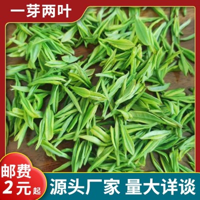 凤型白茶批发绿茶茶叶2023新茶高山明前250克雨前安吉散装茶苗