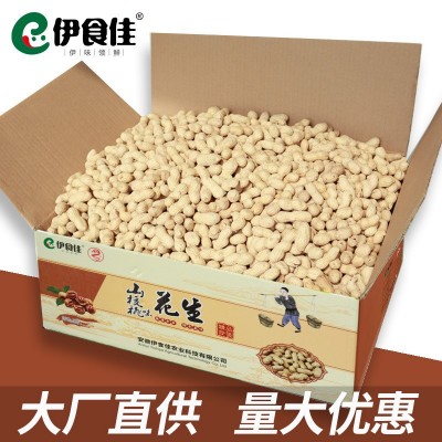 核桃花生带壳水煮炒熟批发2021新季多味坚果零食散装十斤伊食佳