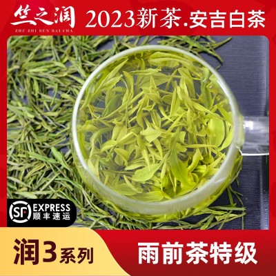 【2023年新茶上市】竺之润正宗安吉白茶雨前茶特级250克兰花香