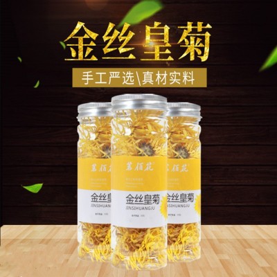 金丝皇菊大朵 黄菊花皇菊 金丝黄菊一件代发