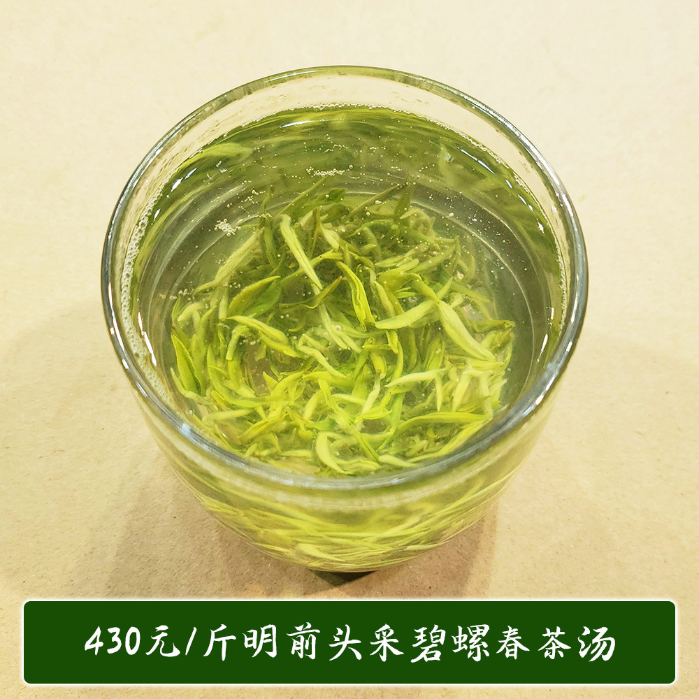 430明前碧螺春茶汤