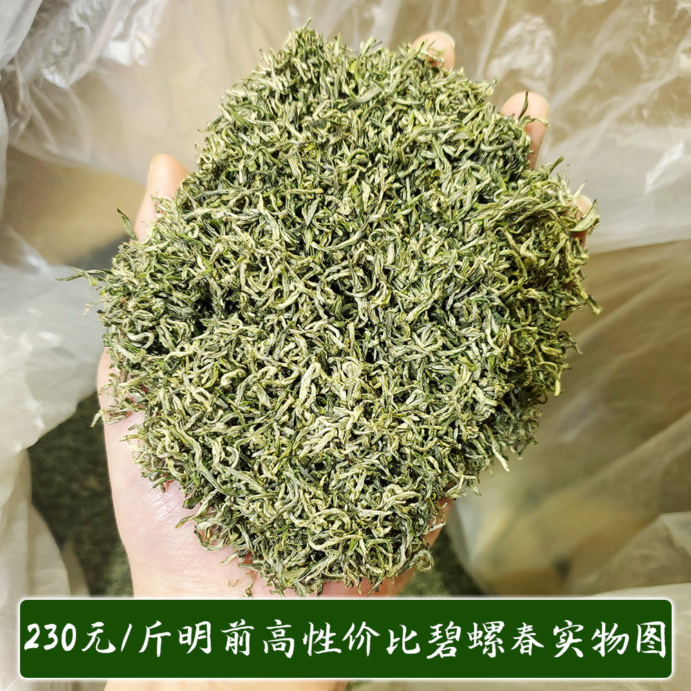 230碧螺春新茶