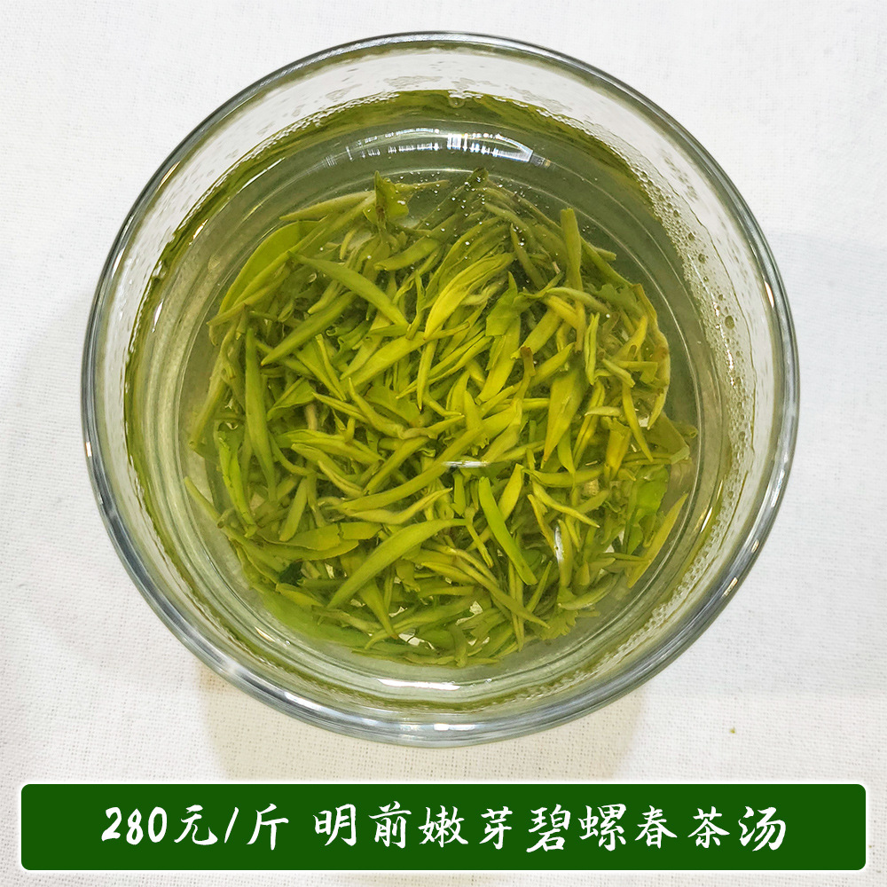 280碧螺春茶汤