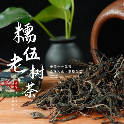 云南糯伍老树茶叶古树纯料普洱茶生茶散装500g厂家批发大量供应