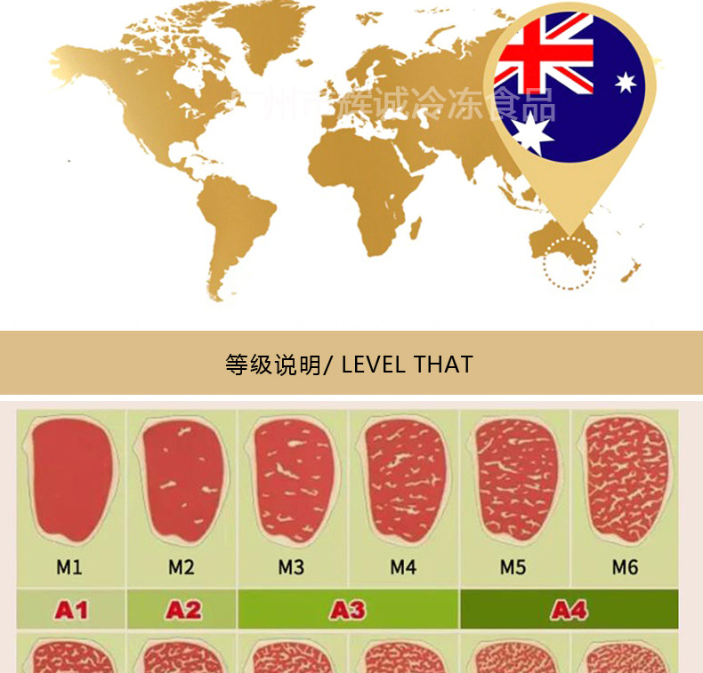 大米龙M3_02.jpg