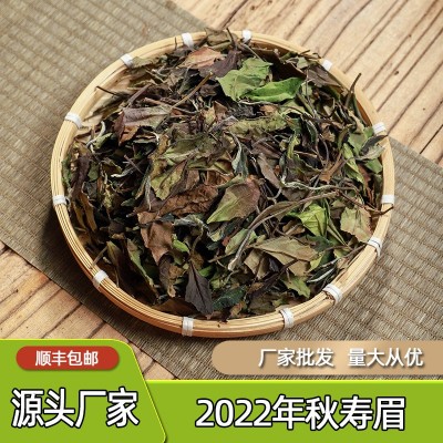 厂家批发2022年新茶政和白茶 寿眉散茶白露秋茶寒露散装高山茶叶