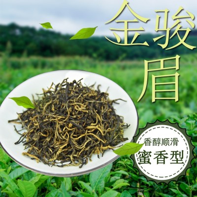 春茶金骏眉红茶花果蜜香黄芽红茶浓香型金芽散装红茶