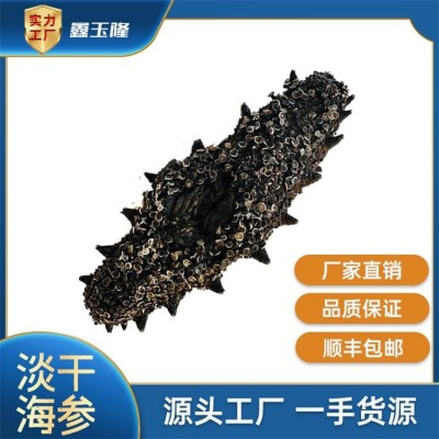 鑫玉隆 深海纯淡干海参500g 40-150头 源头厂家 一手货源