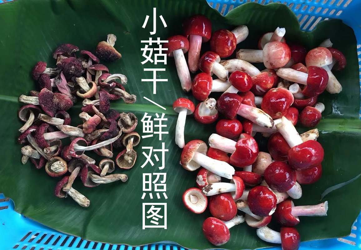 菇丁干鲜.jpg