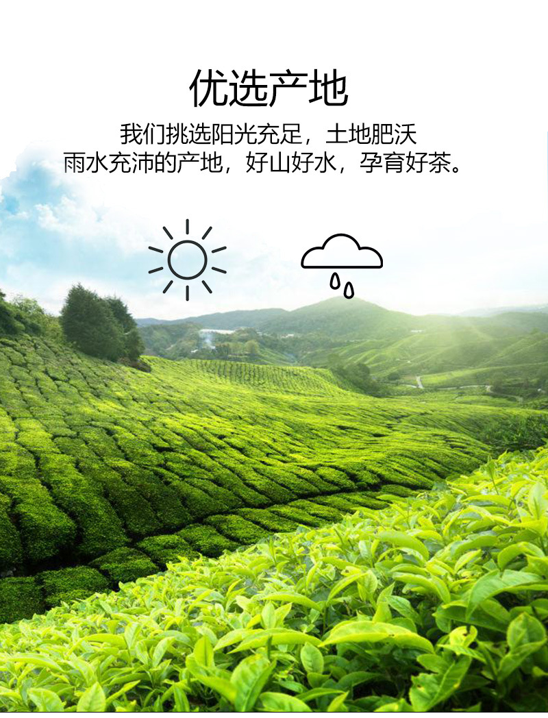 高香红茶B类详情页_09