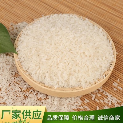 厂家批发玉倩 香米包装规格齐全5KG/10KG/15KG/25KG 精诚食品